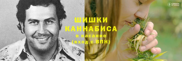 герыч Бронницы