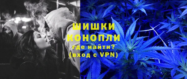 mdpv Бородино