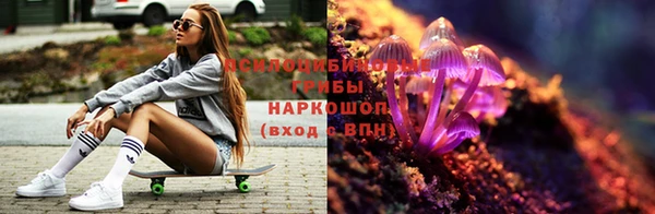 герыч Бронницы